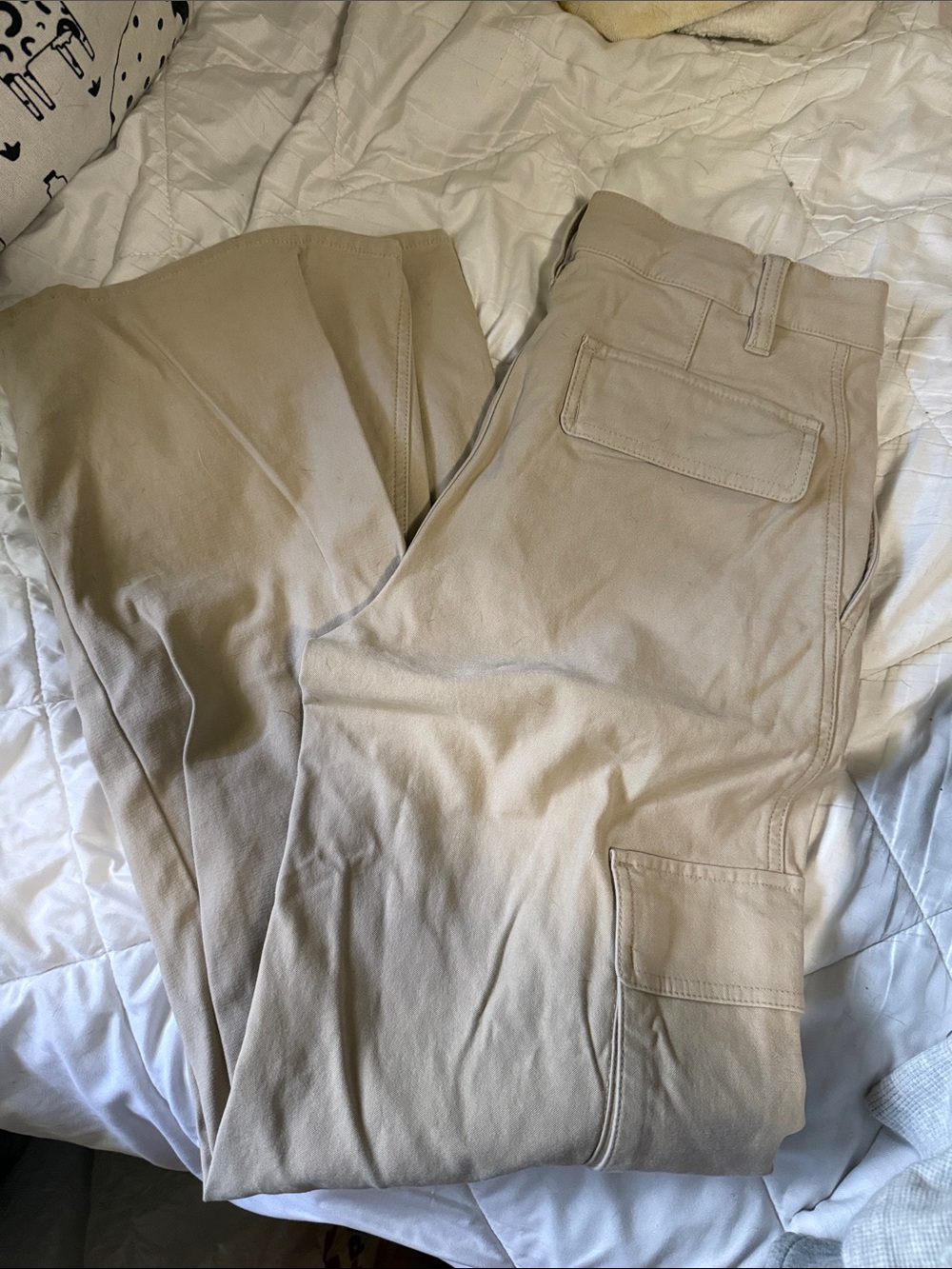TNA Beige Cargo Pants